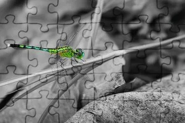 Imagem jigsaw puzzle