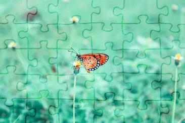 Imagem jigsaw puzzle
