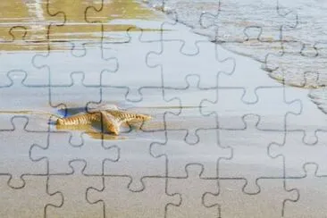 Imagem jigsaw puzzle