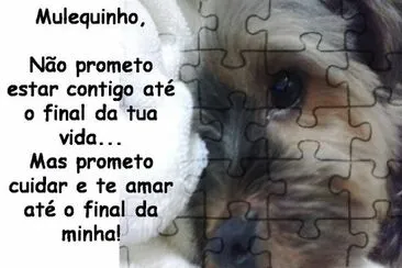 Meu Muquinho jigsaw puzzle