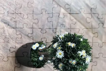 flores jigsaw puzzle