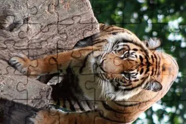 natural jigsaw puzzle