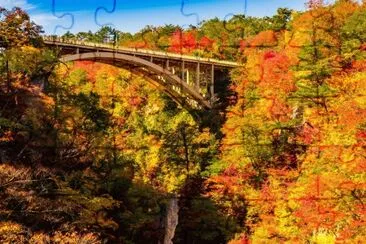 naturaleza