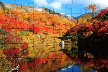 naturaleza jigsaw puzzle