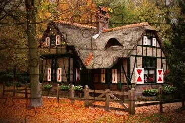 naturaleza jigsaw puzzle