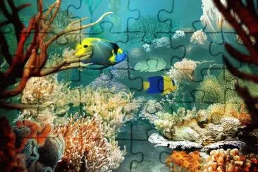 Ocean Life jigsaw puzzle