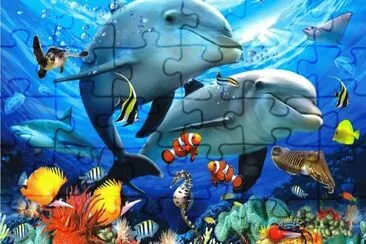 פאזל של Ocean Life