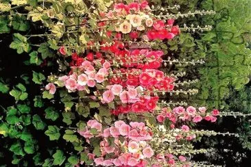 flores jigsaw puzzle