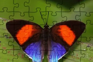 Nature jigsaw puzzle