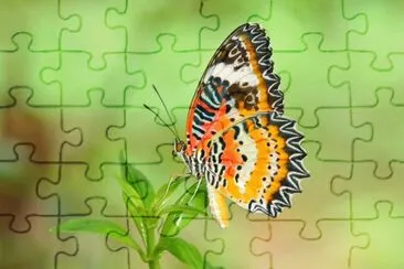Nature jigsaw puzzle