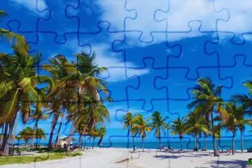 Miami jigsaw puzzle