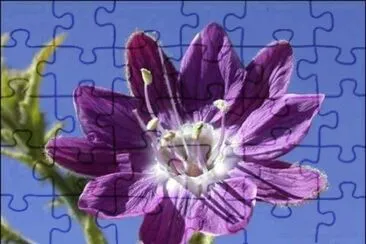 imagem jigsaw puzzle
