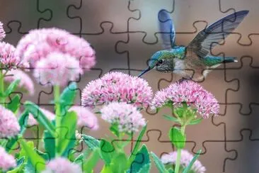 imagem jigsaw puzzle