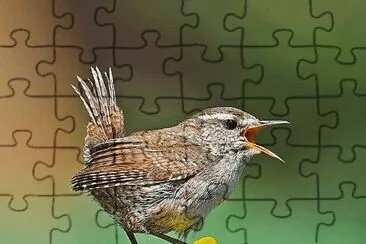 natural jigsaw puzzle