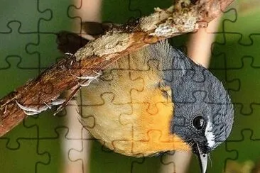 natural jigsaw puzzle