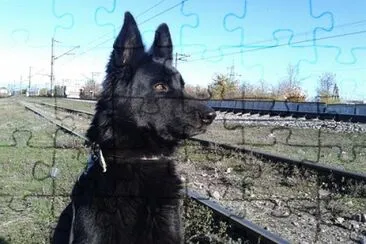 Imagem jigsaw puzzle