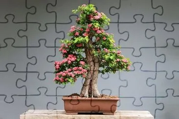 Imagem jigsaw puzzle