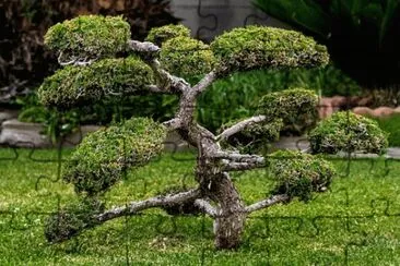 Imagem jigsaw puzzle