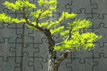 Imagem jigsaw puzzle