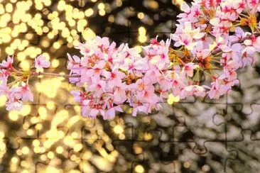 Imagem jigsaw puzzle