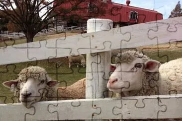 Imagem jigsaw puzzle