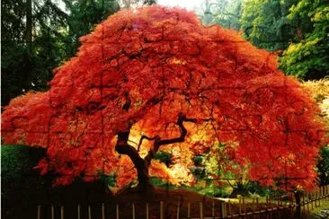 naturaleza