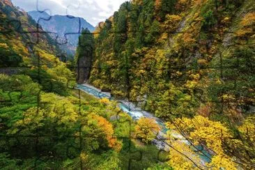 naturaleza