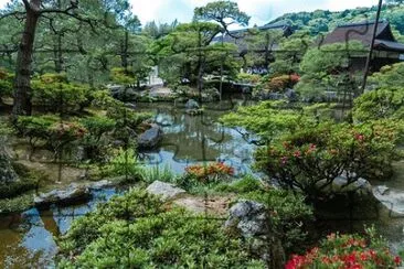 Imagem jigsaw puzzle