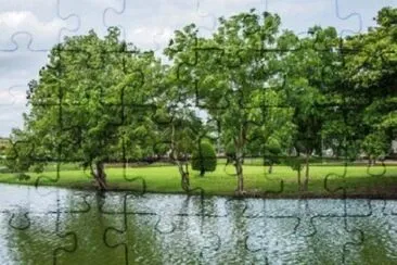 Imagem jigsaw puzzle