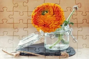 Imagem jigsaw puzzle