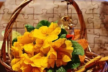 Imagem jigsaw puzzle