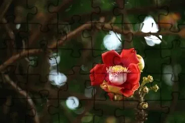 Imagem jigsaw puzzle