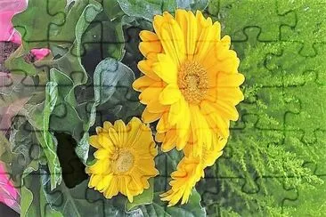 flores jigsaw puzzle