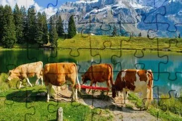 naturaleza jigsaw puzzle