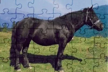 פאזל של Abtenauer