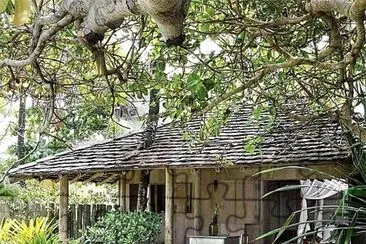natural jigsaw puzzle