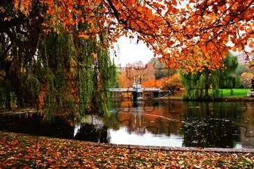 Boston jigsaw puzzle