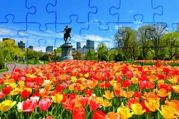 Boston jigsaw puzzle