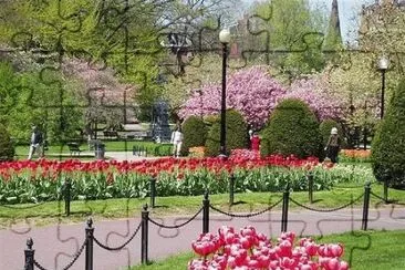 Boston jigsaw puzzle