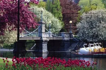 Boston jigsaw puzzle