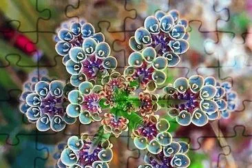 natural jigsaw puzzle