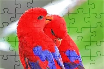 פאזל של natural