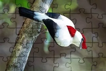 natural