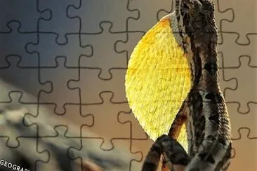 natural jigsaw puzzle