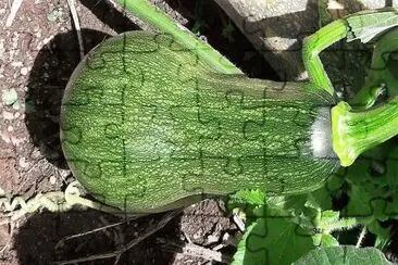 natural jigsaw puzzle