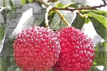 frutas jigsaw puzzle