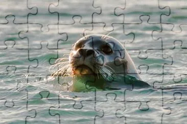 Iceland jigsaw puzzle