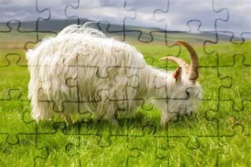 Iceland jigsaw puzzle
