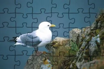 Iceland jigsaw puzzle