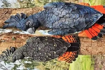 natural jigsaw puzzle